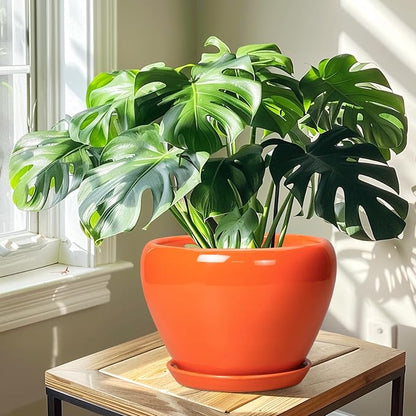 Ceramic Pot for Plants - 10 Inch Plant Pot with Drainage Hole and Saucer, Modern Round Glaze Planter for Indoor Outdoor Plants, Plant Lover Gifts, Home Garden Office Decor, Orange