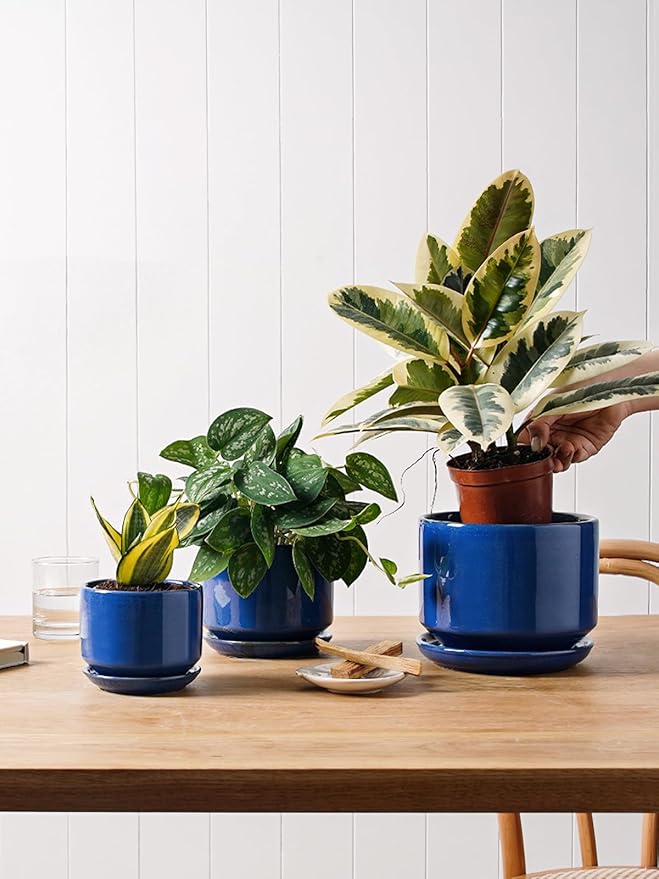LE TAUCI Ceramic Plant Pots, 4.3+5.3+6.8 inch, Set of 3, Planters with Drainage Hole and Saucer, Indoor Flower Pot with Hole Mesh Pad, Gifts for Mom, Sapphire Blue