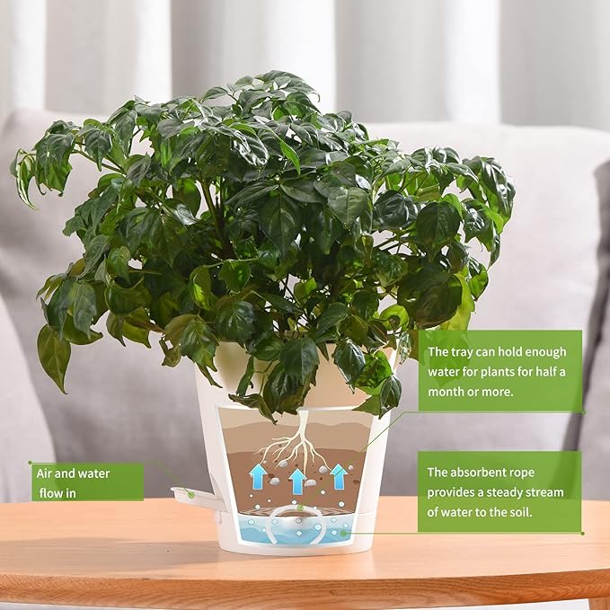 Plant Pots 6 PCS 5 inch Self Watering Planters High Drainage Flowers Pot for Indoor Outdoor Plants with Reservoir Tray and Watering Lip Gardening Planter Garden Flower Pots, White