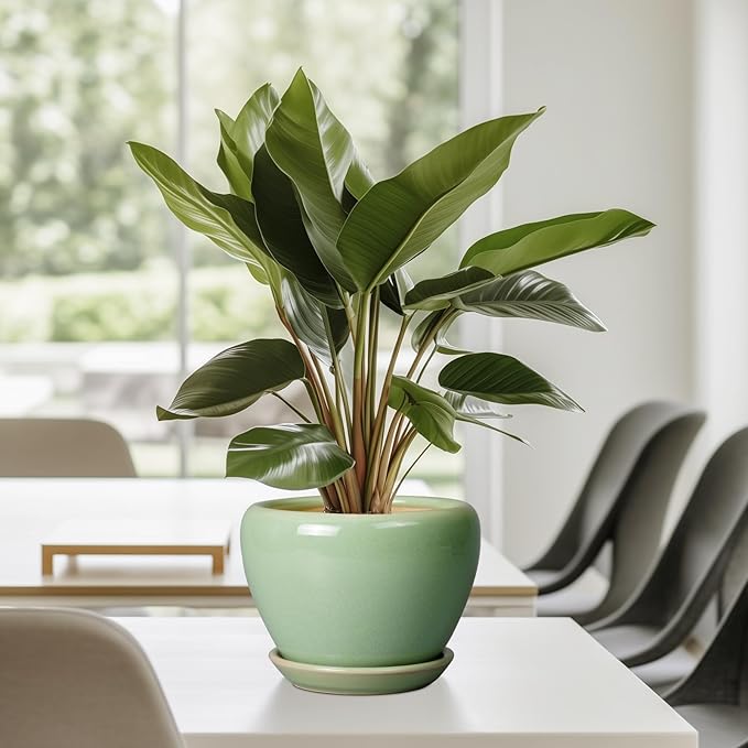 6 Inch Plant Pot - Ceramic Planter for Indoor Plants Round Planter Outdoor Plant Pot with Drainage Hole and Saucer Modern Flower Pot for Succulent Garden Green