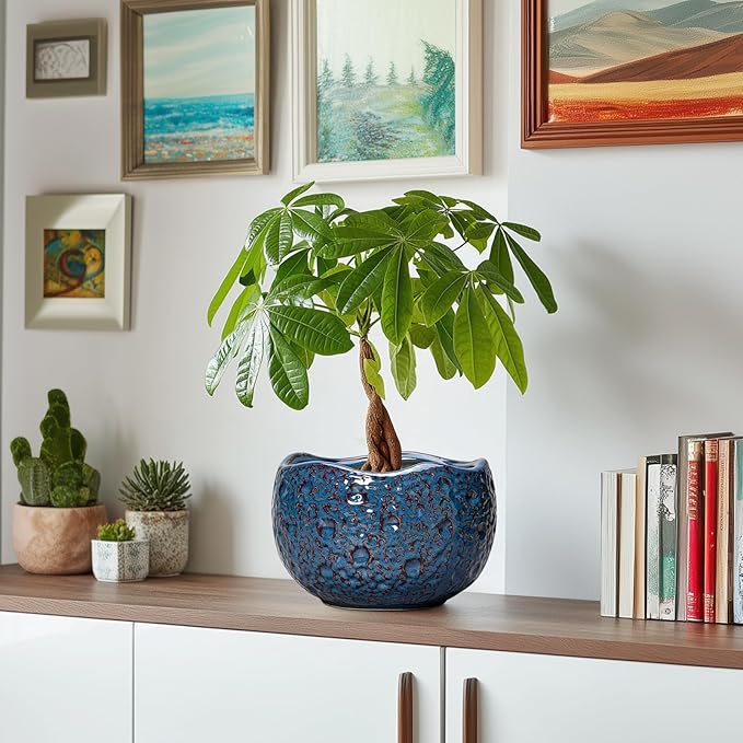 8 Inch Plant Pot - Ceramic Planter for Indoor Outdoor Plants, Round Unique Plant Pots with Drainage Hole, Modern Decorative Flower Pots, Home Decor, Gifts for Plants Lovers, Retro Blue