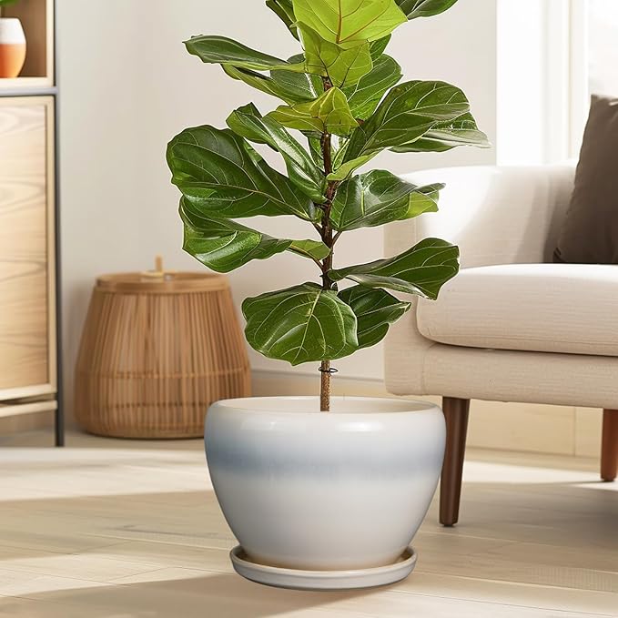 10 Inch Ceramic Planter Pot - Large Plant Pot with Drainage Hole and Saucer Round Flower Pot for Indoor Plants, White