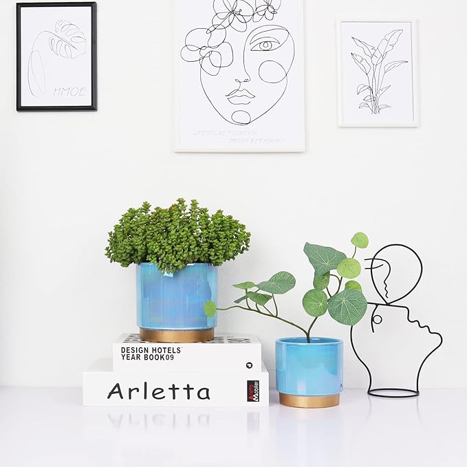 Gepege Ceramic Pots for Plants, Rainbow Pearl Glaze Planter with Drainage Hole, 6.0 inch+5.0 Inch+4.0 Inch. Indoor-Outdoor Large Round Succulent Orchid Flower Pot