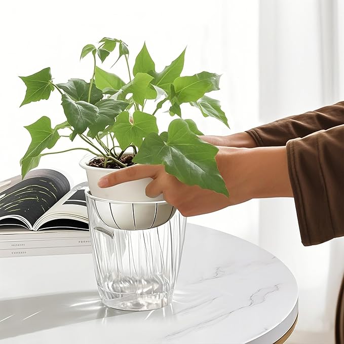 Self Watering Planters - 2 Pack, 6 Inch Transparent Flower Pots for Indoor Plants, Perfect for African Violet, Monstera, Succulents, Herbs & Decorative Flowers