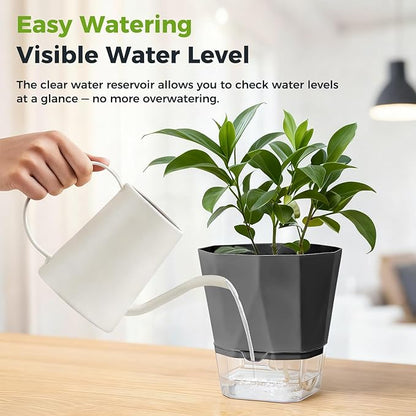 6 Pack Self Watering Pots for Indoor Plants, 5 Inches Self Watering Planters African Violet Self Watering Clear Pots for Plants Herb Orchid Flower Houseplant, Dark Grey