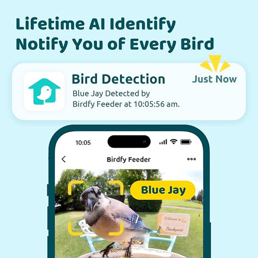 NETVUE by Birdfy AI Smart Bird Feeder with Camera, AI Auto Capture Each Bird Visit & Identify 6000+ Species, Cloud Store & Live Birdwatching, Ideal Gift (Yellow)