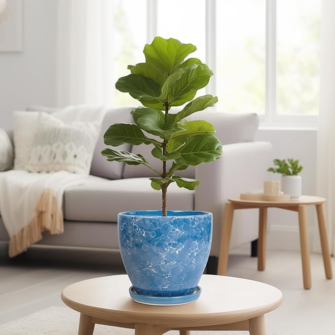 8 Inch Plant Pot - Ceraimc Planter for Indoor Outdoor Plants, Round Flower Pot with Drainage and Saucer, Decorative Planter, Porch Room Office House Decor, Gardening Gifts for Women, Blue