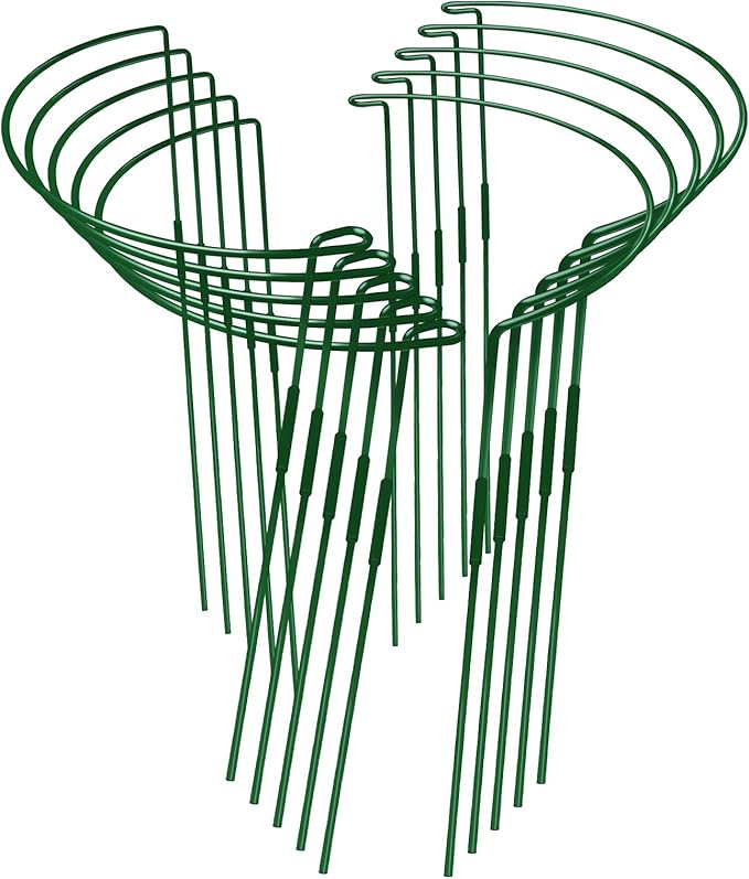 10-Pack Adjustable Height Snake Plant Support Stakes- Sturdy, Rust-Resistant Plant Supports for Indoor and Outdoor Potted Plants (16x10Inch) - Flower and Garden Peony Support
