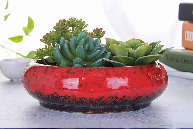 VanEnjoy 7.1 inch Round Large Shallow Succulent Ceramic Glazed Planter Pots with Drainage Hole, Bonsai Pots Garden Decorative Cactus Stand Flower Container (Red)