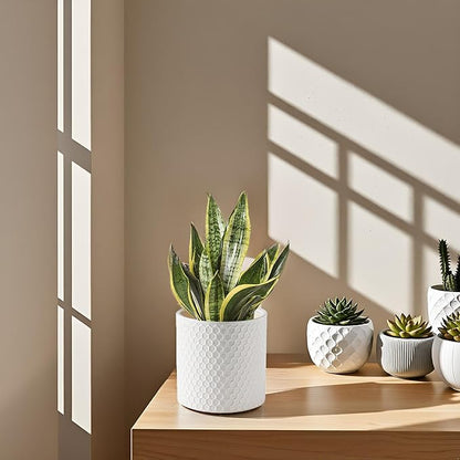 Docrin Ceramic Planters Indoor, 8 Inch Plant Pot with Drainage Holes for Home/Office - White Honeycomb