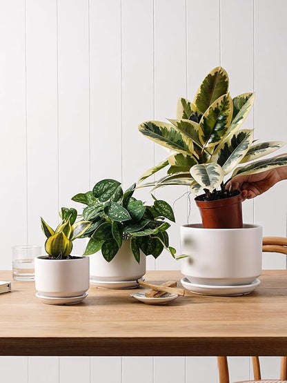 LE TAUCI Ceramic Plant Pots, 4.3+5.3+6.8 inch, Set of 3, Planters with Drainage Hole and Saucer, Indoor Flower Pot with Hole Mesh Pad, Gifts for Mom, White