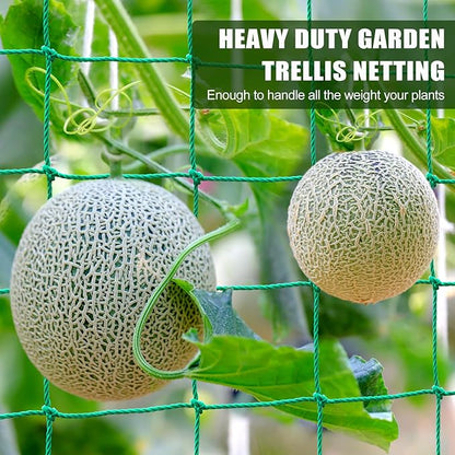 Garden Trellis Netting - Heavy Duty Trellis Net for Climbing Plants, Plant Netting for Cucumber, Tomato, 27 Strands Nylon & 4x4 Inch Mesh, Grow Netting for Fruits, Vegetables, Grape, Bean(6.6x32.8 FT)
