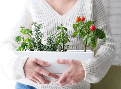 D'vine Dev 12 Inch Window Box Planter, Rectangle Plastic Herb Planter with Drainage Holes and Saucer, Indoor Succulent Cactus Vegetable Pot for Windowsill, Garden Balcony, White, Set of 2, 76-X-A-2