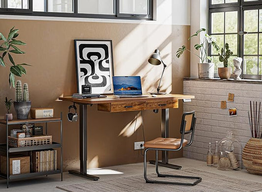 FEZIBO Standing Desk with Double Drawer, 48x 24 Inches Adjustable Height Electric Stand up desk, Ergonomic Workstation Black Frame/Fir Brown Top