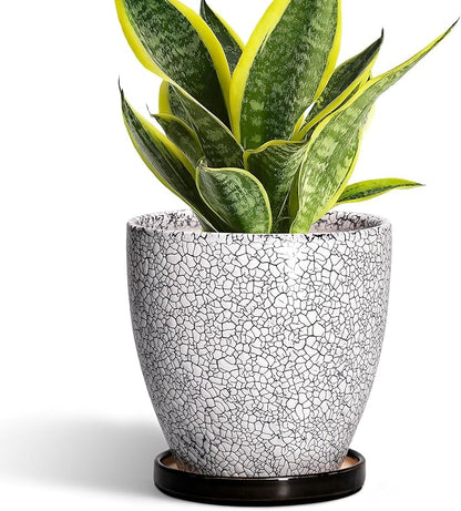 Ceramic Plant Pots - 6 Inch Planters for Indoor Outdoor Plants, Round Plant Pot with Drainage Hole and Saucer, Ceramic Succulent Pots, Desk House Decor, Gardening Gifts for Women, White-Black