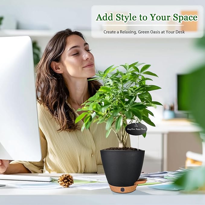 6 Inch Self Watering Pots for Indoor Plants (5-Pack) – Small Plastic Planters with Water Window, Drainage Holes & Trays, Indoor Outdoor Flower Pots for Herbs, Succulents, Home Garden Decor (Black)