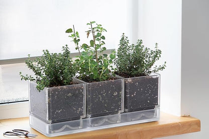 D'vine Dev Herb Garden Planter Set, Plastic Plant Pots with Drainage and Saucer, Indoor Succulent Cactus Vegetable Pot for Windowsill, Garden Balcony, Clear, Set of 1, 76-V-D-1