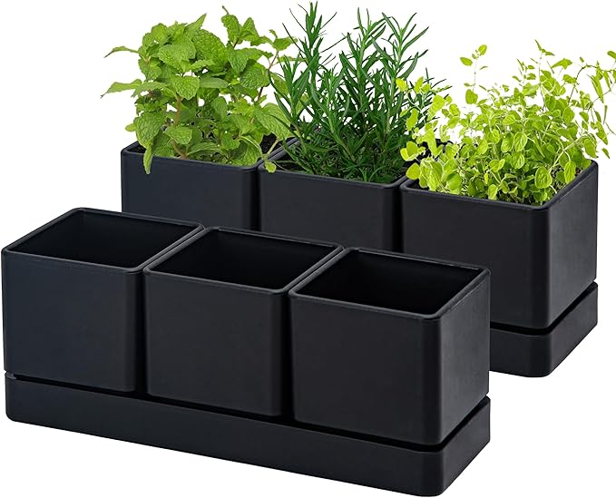 D'vine Dev Herb Garden Planter Set, Plastic Plant Pots with Drainage and Saucer, Indoor Succulent Cactus Vegetable Pot for Windowsill, Garden Balcony, Black, Set of 2, 76-V-B-2
