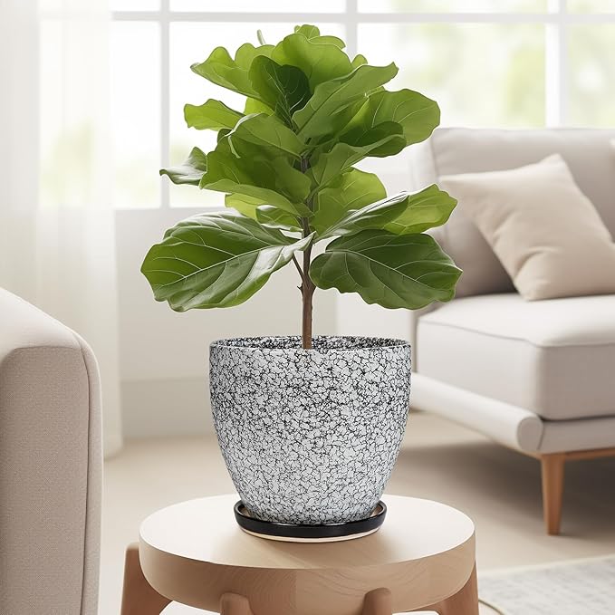 Ceramic Planter - 6.3 Inch Plant Pot for Indoor Ourdoor Plants, Round Succulent Planter, Decorative Flower Pots with Drainage Hole and Saucer, Home Desk Decor, Housewarming Gifts, White-black