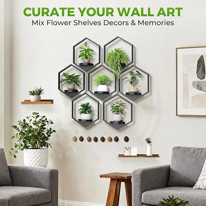 Wall Planters for Indoor Plants 7 Pack, Plant Frames Wall Decor Living Room Plant Stand Hanging Wall Plants Holder to Hold Large Pots Wall Plant Hanger Window Plant Shelves for Outdoor Entryway