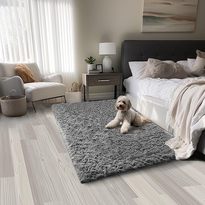 Ophanie Grey Machine Washable 3 x 5 Feet Rugs for Bedroom, Fluffy Shaggy Bedside Floor Dorm Area Rug, Soft Fuzzy Non-Slip Indoor Room Carpet for Kids Boys Girls Teen Home Decor Aesthetic, Nursery