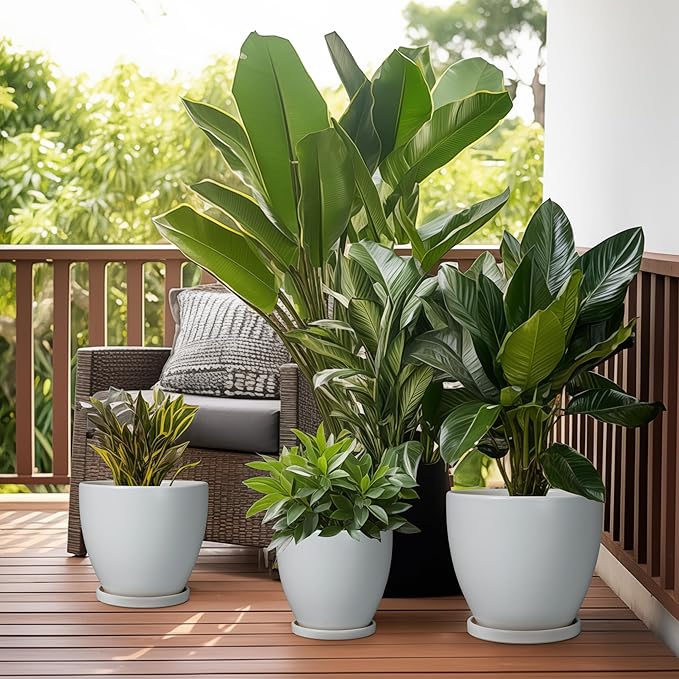 Ceramic Pots for Plants - 8 Inch Planter, Indoor Plant Pot with Drainage Hole and Saucers, Modern Flower Planters, Home Garden Patio Bathroom Porch Room Decor, Gray