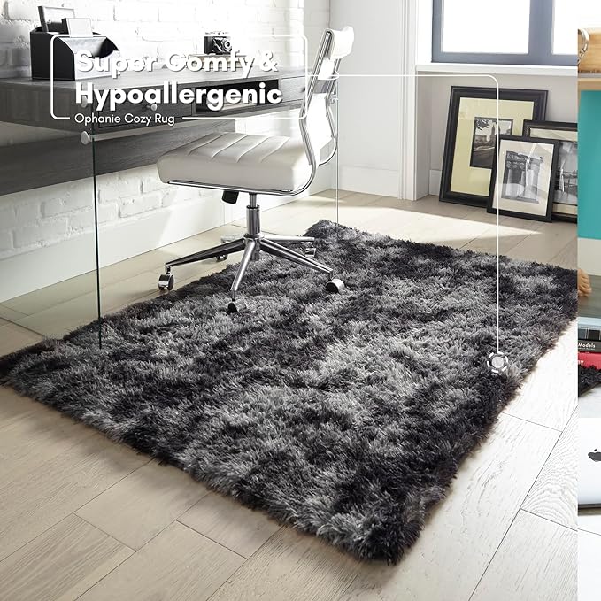 Ophanie Rugs for Bedroom, Machine Washable Fluffy Shaggy Soft Area Rug, Non-Slip Indoor Floor Carpet for Living Room, Kids Boys Teen Dorm Home Decor Aesthetic, Nursery, 4x6 Feet Black and Grey