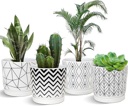 Ton Sin Plant Pots,5.5 Inch White Pots for Indoor Plants with Drainage Holes,Cylinder Flower Pot Ceramic Planters with Saucer,Cactus Succulent Outdoor Garden Pots Set of 4