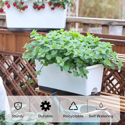 Window Box Planter 6 Pcs, 17 Inches Rectangle Flower Pots with Drainage Holes and Trays, Vegetable Planters for Windowsill Patio Garden Balcony Home Porch Yard Indoor Outdoor (Grey, 17*7.4*7.8 inch)