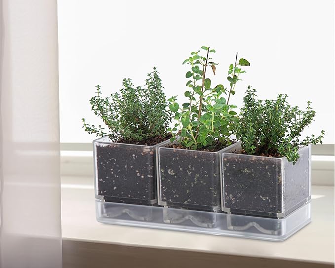 D'vine Dev Herb Garden Planter Set, Plastic Plant Pots with Drainage and Saucer, Indoor Succulent Cactus Vegetable Pot for Windowsill, Garden Balcony, Clear, Set of 1, 76-V-D-1