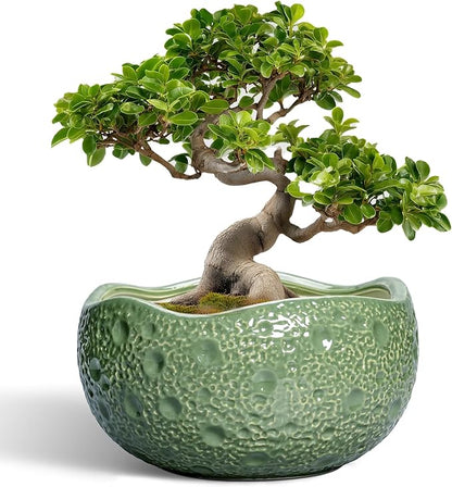 Ceramic Pots for Plants - 13 Inch Large Bonsai Pots Indoor Outdoor, Round Plant Pot with Drainage Hole, Decorative Flower Pot, Modern Unique Planters, Patio Decor, Plant Lover Gifts, Green