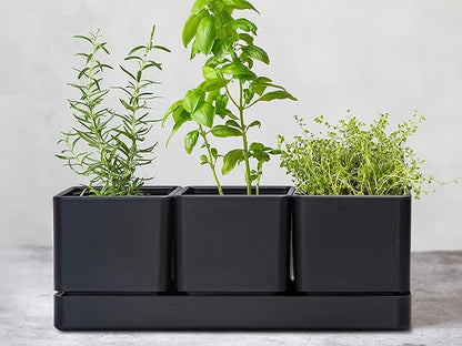 D'vine Dev Herb Garden Planter Set, Plastic Plant Pots with Drainage and Saucer, Indoor Succulent Cactus Vegetable Pot for Windowsill, Garden Balcony, Black, Set of 2, 76-V-B-2