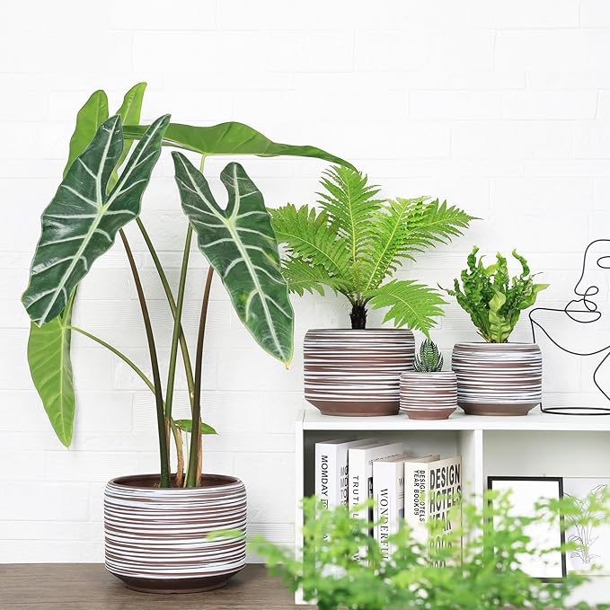 10 Inch Ceramic Plant Pot with Drainage – Large Flower Pot for Indoor Outdoor Plants, Modern Decorative Planter for Patio, Balcony, Garden, or Home Decor