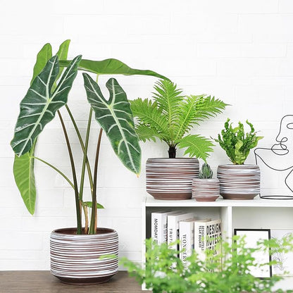 10 Inch Ceramic Plant Pot with Drainage – Large Flower Pot for Indoor Outdoor Plants, Modern Decorative Planter for Patio, Balcony, Garden, or Home Decor