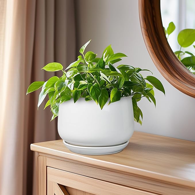 G EPGardening Ceramic Pots for Plants - 6 Inch Planter for Indoor Plants, Flower Pots with Drainage and Ceramic Tray, Modern Office Decor, Gifts for Plant Lovers, White
