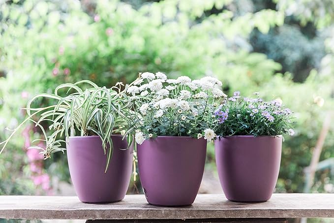 GARDENIX DECOR Self Watering Pots for Indoor Plants 3 Pack - Flower Pot with Water Level Indicator for Plants, Grow Tracking Tool - Self Watering Planter Plant Pot - Coco Coir - Purple