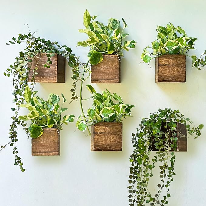 LaLaGreen Wood Planter Boxes for Indoor Plants (4x4 Inch, 6 Pack) Small Square Wall Mounted Planters Flower Pot, Herb Wooden Box Hanging Plant Holder Outdoor Balcony Vertical Garden Modern Home Decor