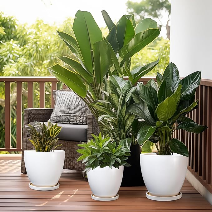 8 Inch Plant Pot - Ceraimc Planter for Indoor Outdoor Plants, Round Flower Pots with Drainage and Tray, House Decor, White